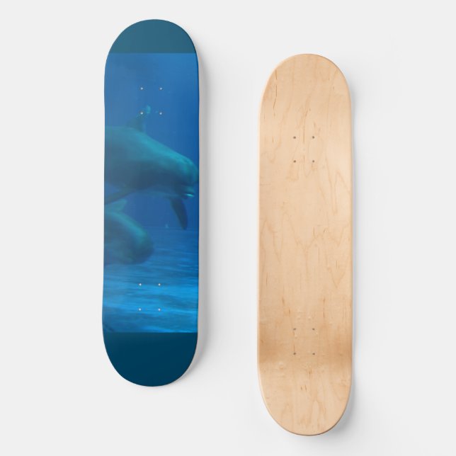 Dolphin Skateboard (Front)