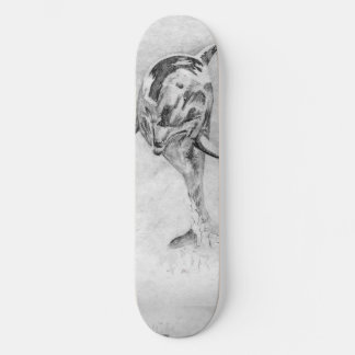 Dolphin Skateboard Deck