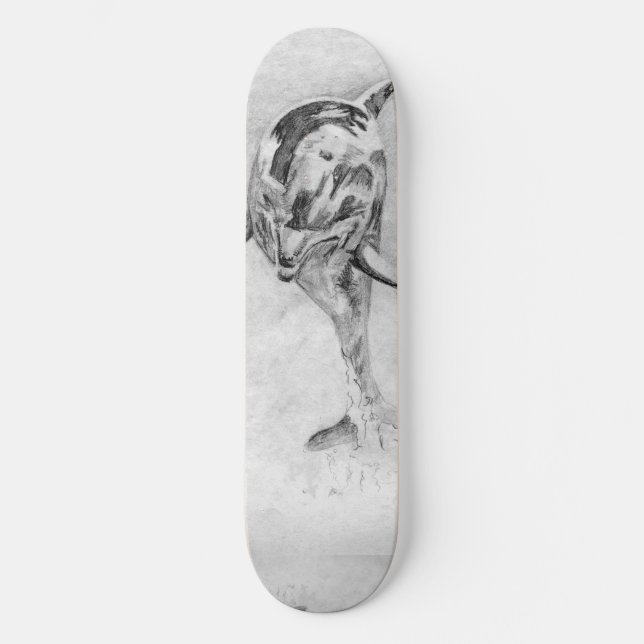 Dolphin Skateboard Deck (Front)