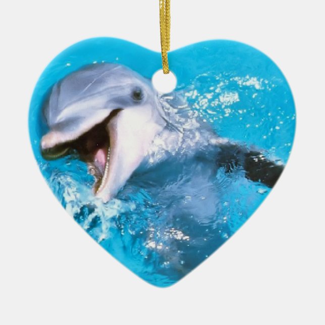 Dolphin Smiling 2 Ceramic Ornament (Front)