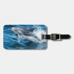 Dolphin Splashing Luggage Tag at Zazzle