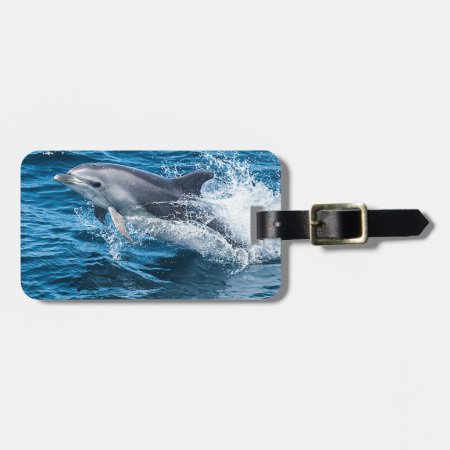 Dolphin Splashing Luggage Tag