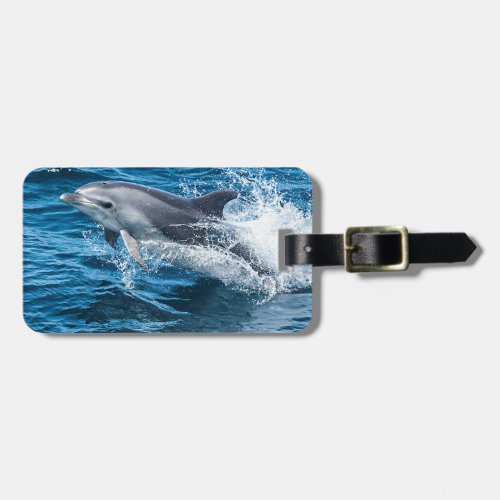 Dolphin Splashing Luggage Tag