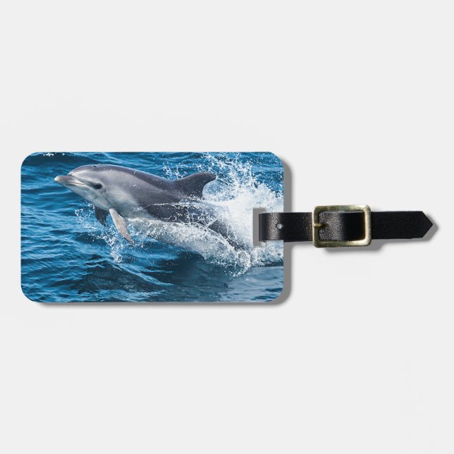 Dolphin Splashing Luggage Tag (Front Horizontal)