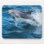 Dolphin Splashing Mouse Pad at Zazzle
