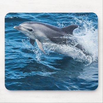 Dolphin Splashing Mouse Pad by Lokisbooksnmore at Zazzle
