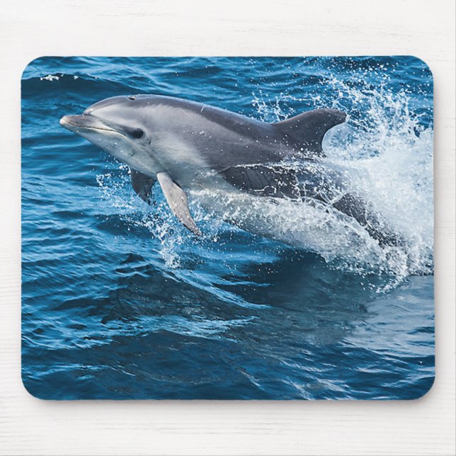 Dolphin Splashing Mouse Pad (Front)