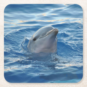 Dolphin Square Paper Coaster