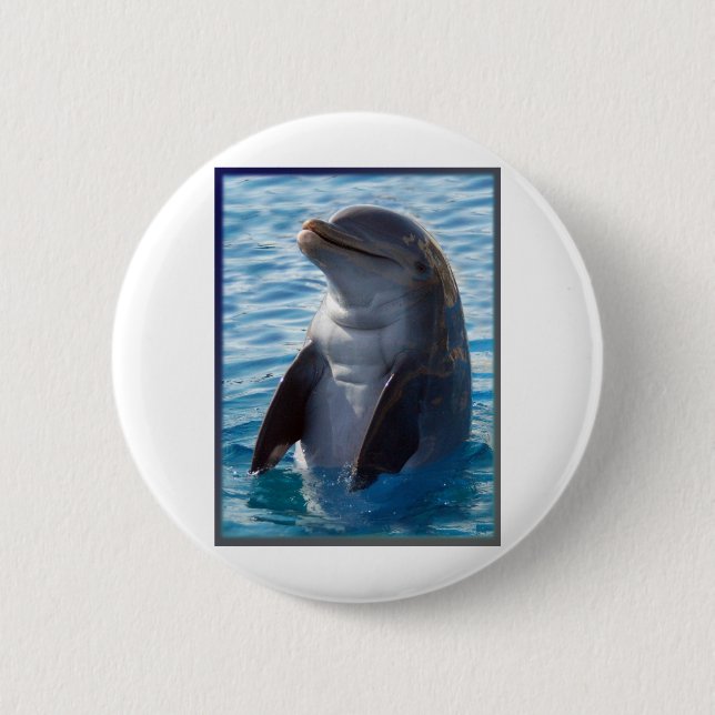 dolphin stand pinback button (Front)