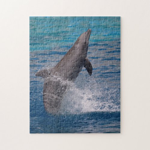 Dolphin standing out of the water jigsaw puzzle