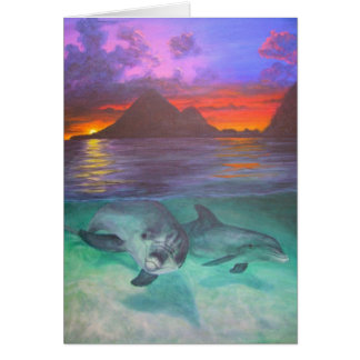 dolphin sunset cards