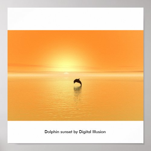 Dolphin sunset poster