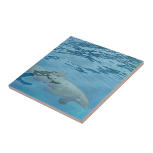 Dolphin Swimming Through Clear Blue Water Tile