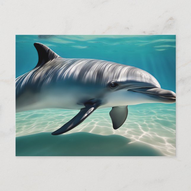 Dolphin Swimming Underwater Postcard (Front)