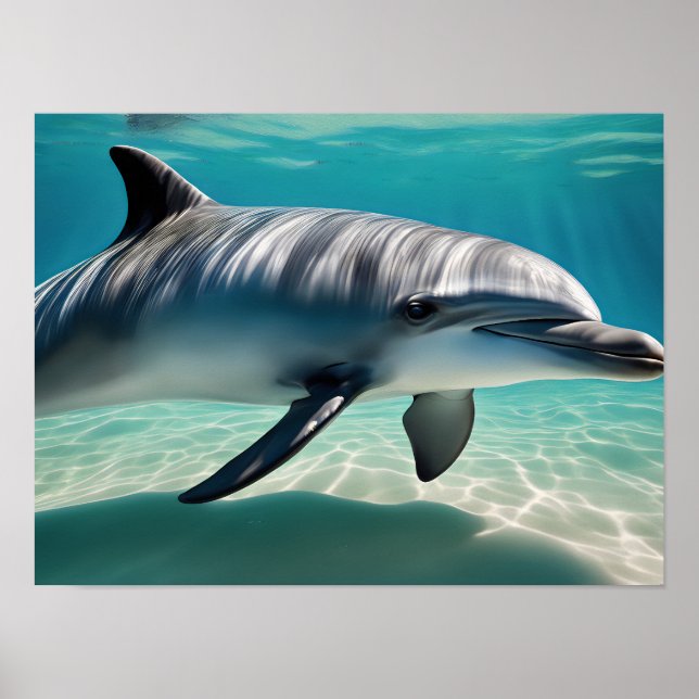 Dolphin Swimming Underwater Poster (Front)