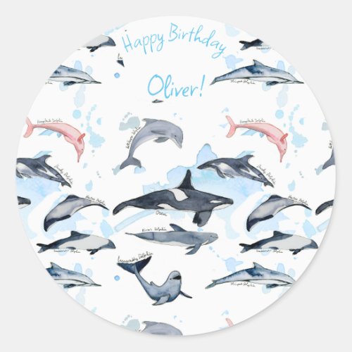 Dolphin theme party kids watercolor drawing  classic round sticker
