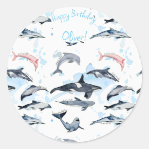 Dolphin theme party kids watercolor drawing classic round sticker