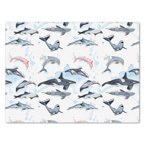 Dolphin theme party kids watercolor drawing  tissue paper