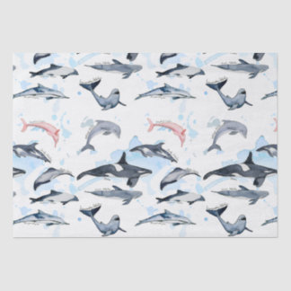 Dolphin theme party kids watercolor drawing tissue paper
