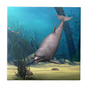Dolphin Tile