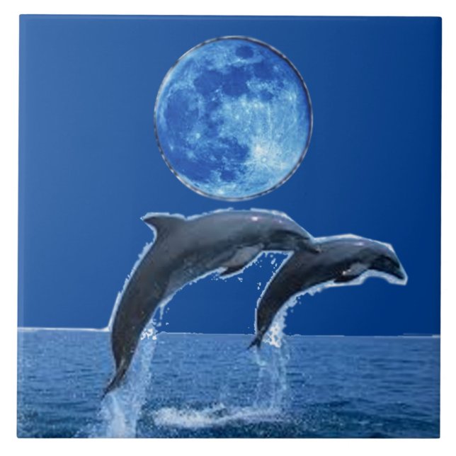 Dolphin Tiles (Front)