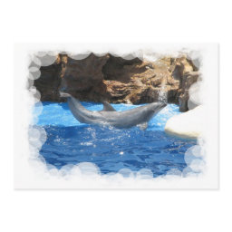 Dolphin Tricks Invitation
