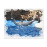 Dolphin Tricks Postcard
