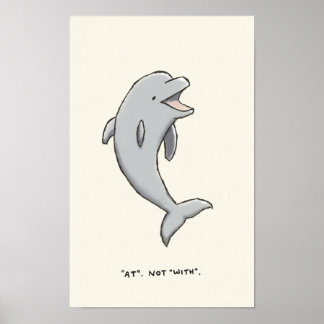 dolphin trivia poster