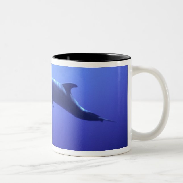 Dolphin Two-Tone Coffee Mug (Right)