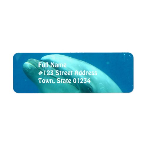 Dolphin Underwater Label
