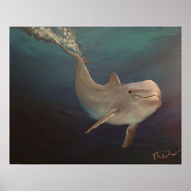 Dolphin underwater poster (Front)