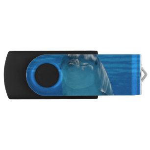 Dolphin USB Flash Drive