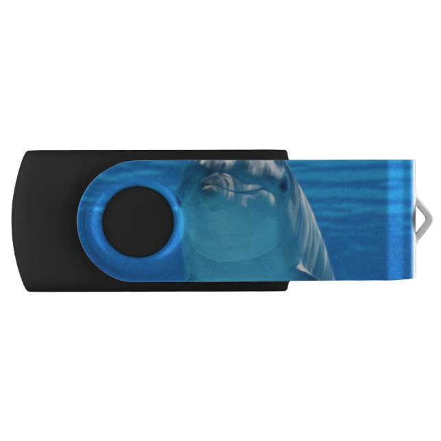 Dolphin USB Flash Drive (Front)