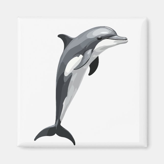 Dolphin Vector Art Illustration with Black White Magnet (Front)