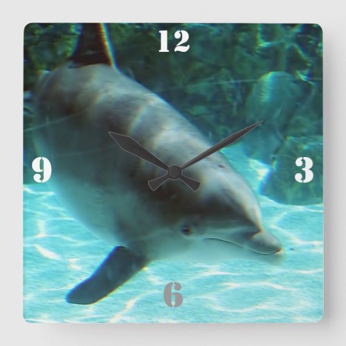 Dolphin Wall Clock