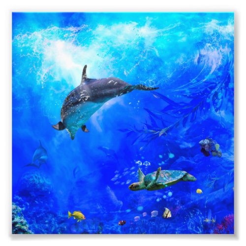 Dolphin World WIND ON THE WATER Photo Print