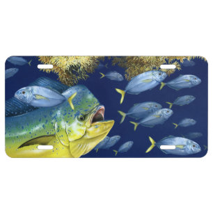 Dolphinfish (Mahi Mahi) in Habitat License Tag Plate