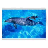 dolphins (Front Horizontal)