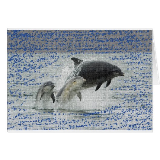 Dolphins (Front Horizontal)