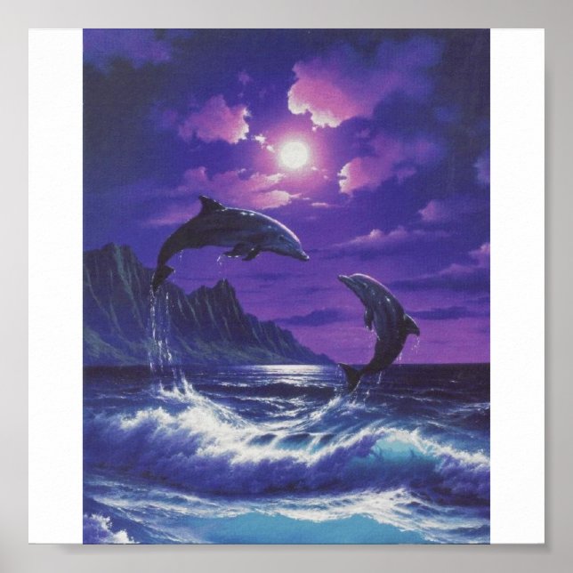 dolphins[1] poster (Front)
