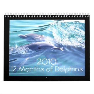 Dolphins 2010 Calendar