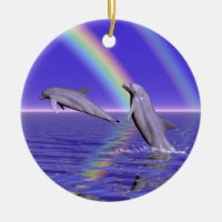 Dolphins and Rainbow