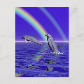 Dolphins and Rainbow Postcard
