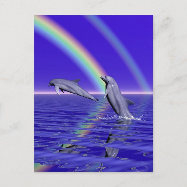 Dolphins and Rainbow Postcard (Front)