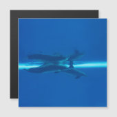 Dolphins and reflections (Front/Back)