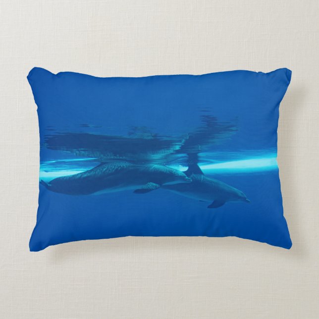 Dolphins and reflections accent pillow (Front)