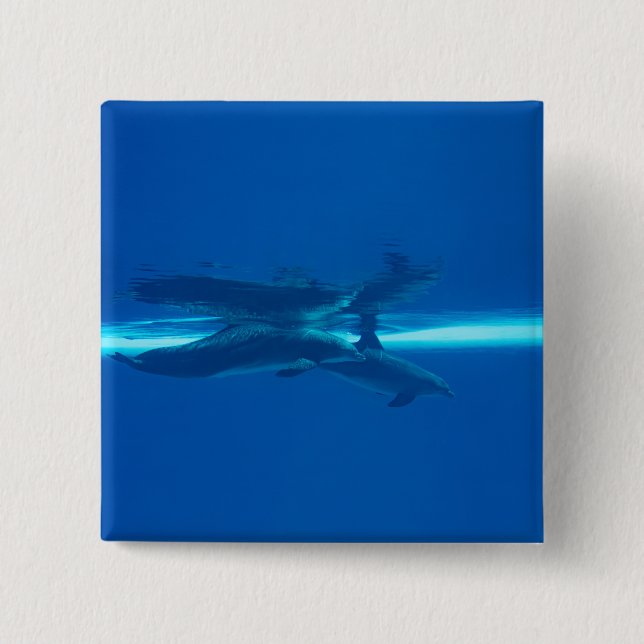 Dolphins and reflections button (Front)