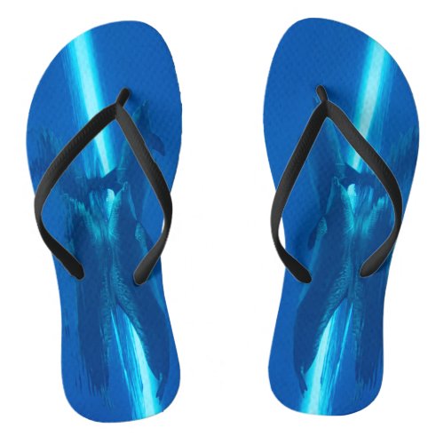 Dolphins and reflections flip flops