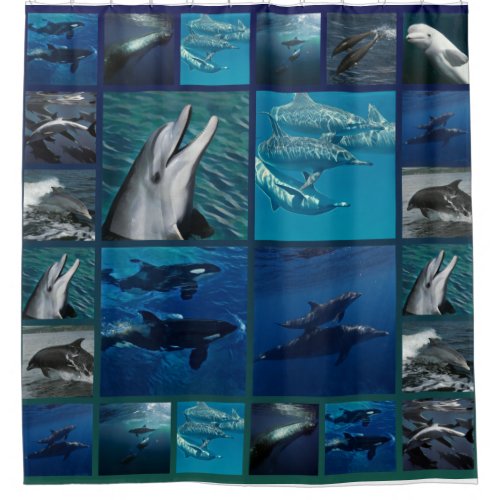 Dolphins And Whales Collage Shower Curtain