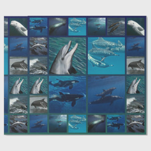 Dolphins And Whales Collage Wrapping Paper
